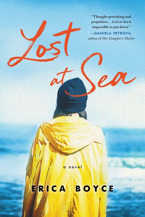 Cover image for book Lost At Sea
