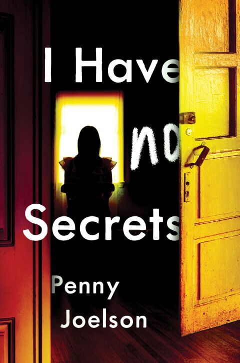 Cover image for book I Have No Secrets