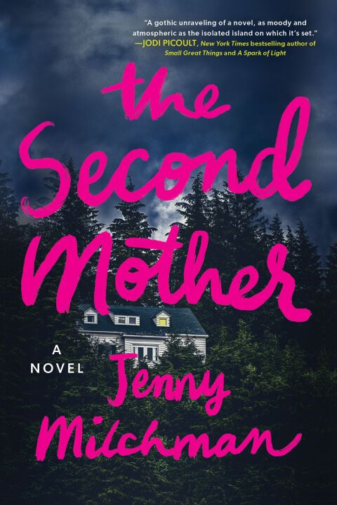 Cover image for book The Second Mother