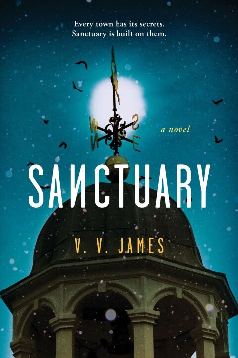 Cover image for book Sanctuary