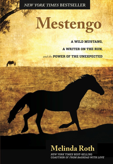 Cover image for book Mestengo