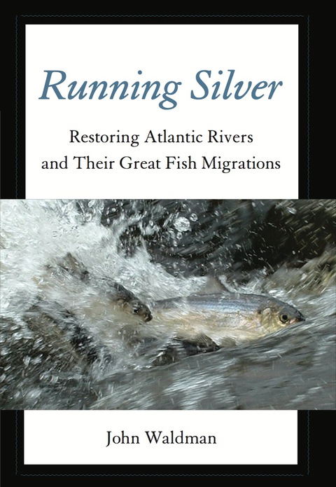 Cover image for book Running Silver