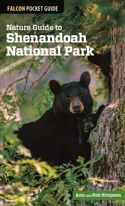 Cover image for book Nature Guide to Shenandoah National Park