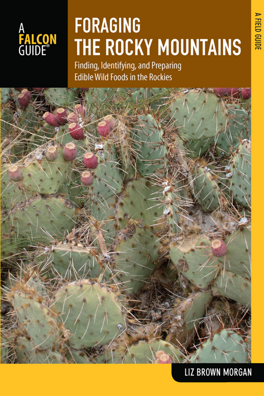 Reflowable Foraging the Rocky Mountains; $21.08