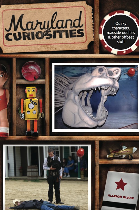 Cover image for book Maryland Curiosities