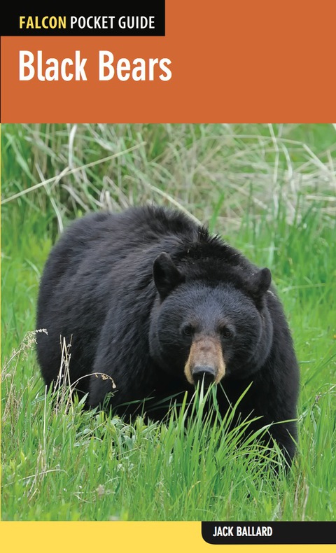 Cover image for book Black Bears