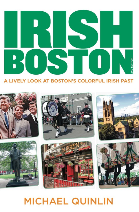 Cover image for book Irish Boston