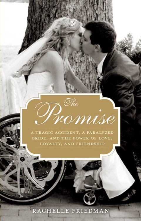 Cover image for book The Promise