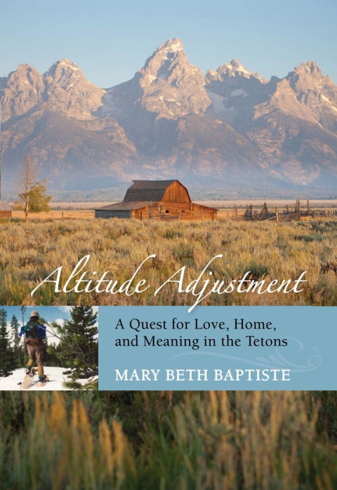 Cover image for book Altitude Adjustment