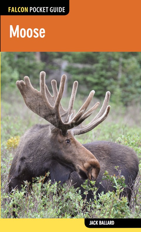 Cover image for book Moose