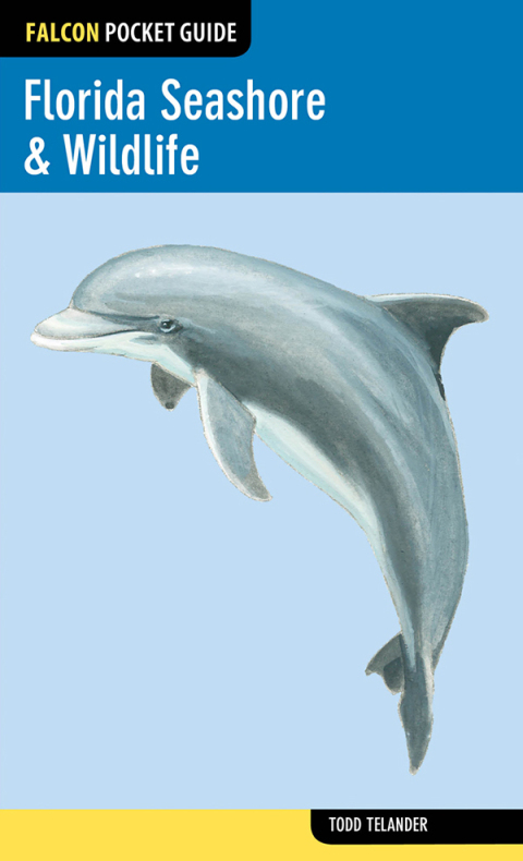 Cover image for book Florida Seashore & Wildlife