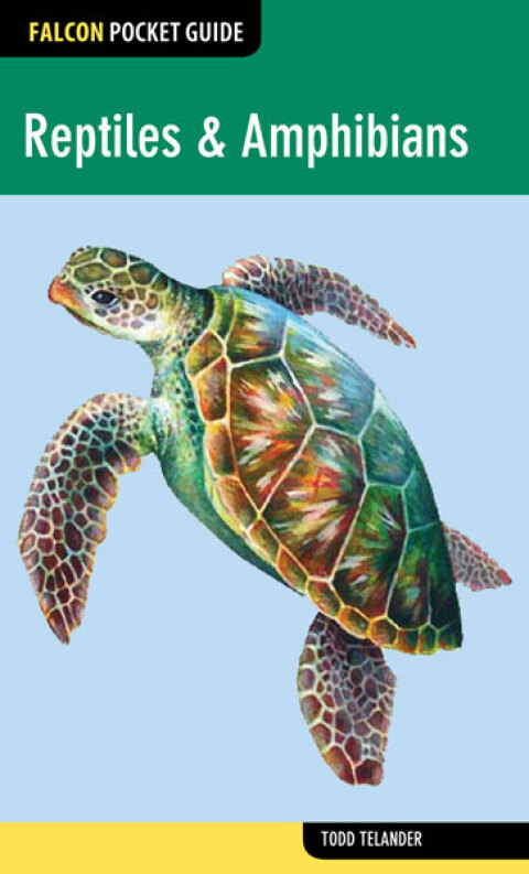 Cover image for book Reptiles & Amphibians