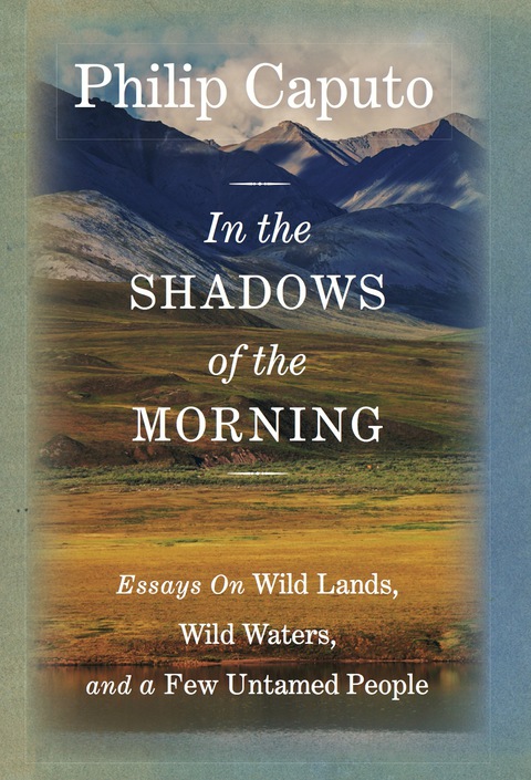 Cover image for book In the Shadows of the Morning