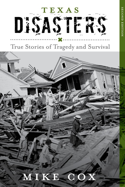 Cover image for book Texas Disasters