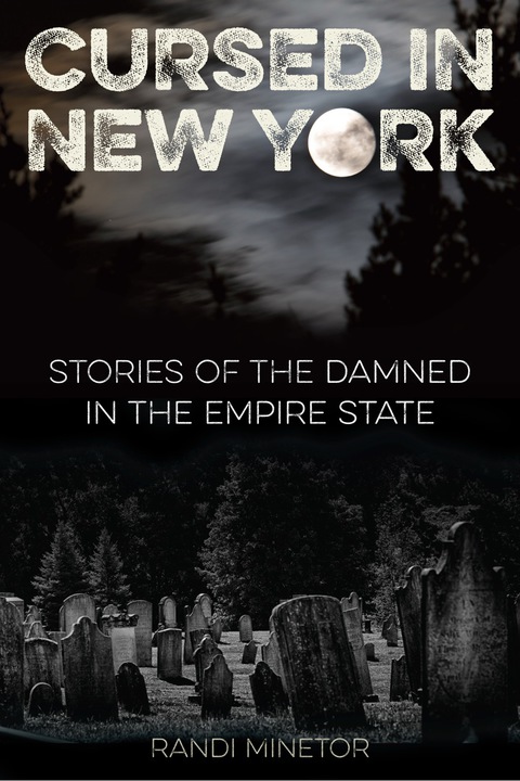 Cover image for book Cursed in New York
