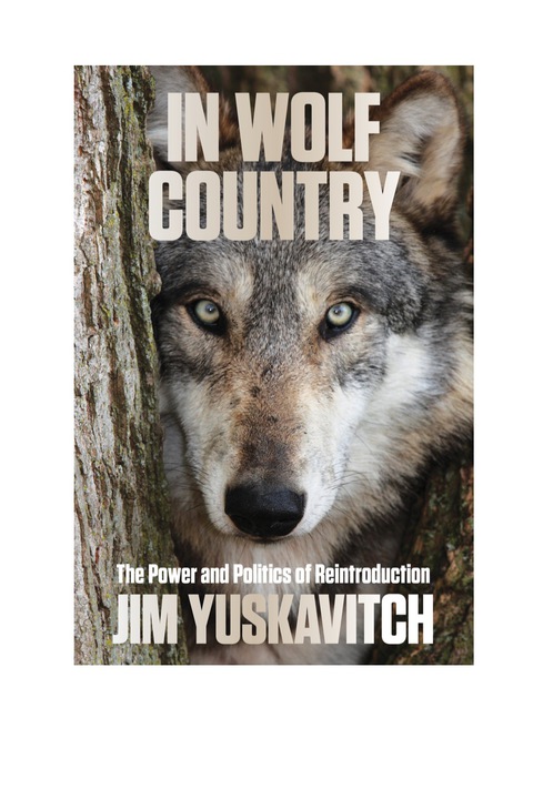 Cover image for book In Wolf Country