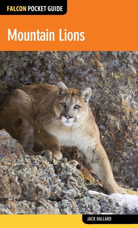 Cover image for book Mountain Lions