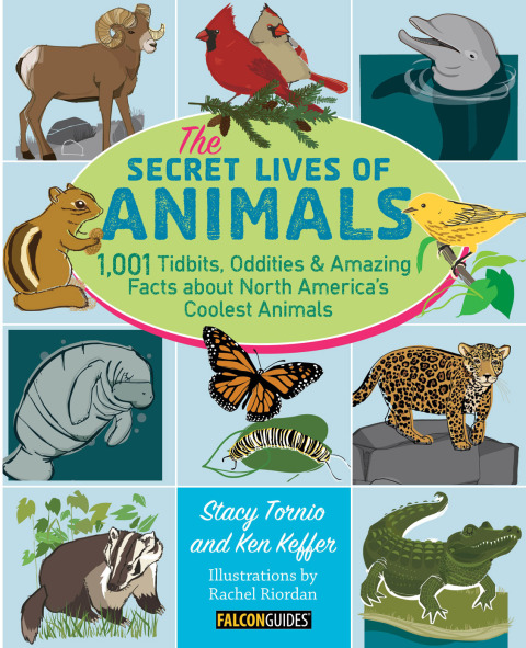 Cover image for book Secret Lives of Animals