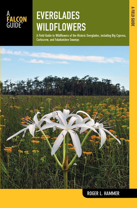 Cover image for book Everglades Wildflowers