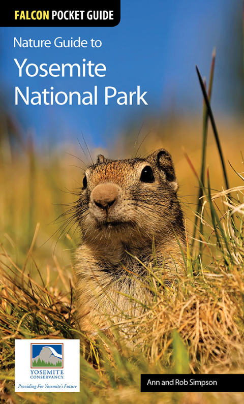 Cover image for book Nature Guide to Yosemite National Park