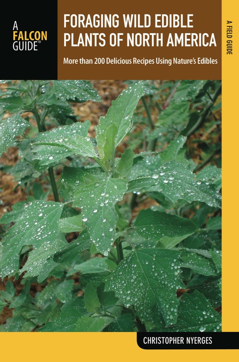 Cover image for book Foraging Wild Edible Plants of North America