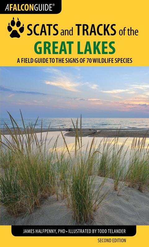 Cover image for book Scats and Tracks of the Great Lakes