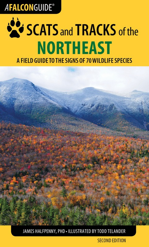 Cover image for book Scats and Tracks of the Northeast