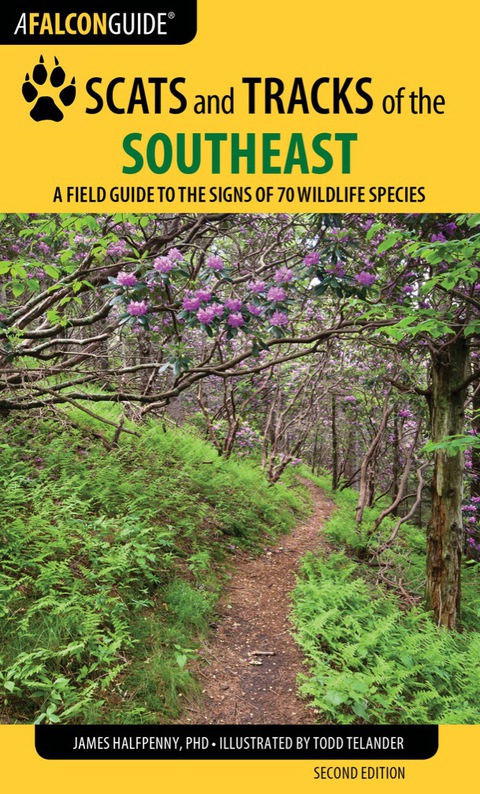Cover image for book Scats and Tracks of the Southeast