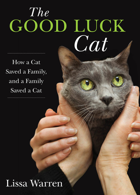 Cover image for book Good Luck Cat