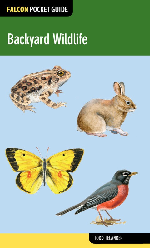 Cover image for book Backyard Wildlife