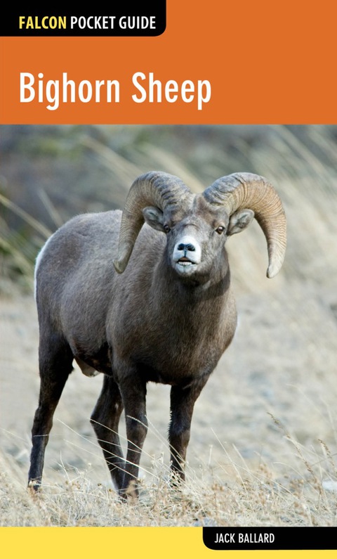 Cover image for book Bighorn Sheep