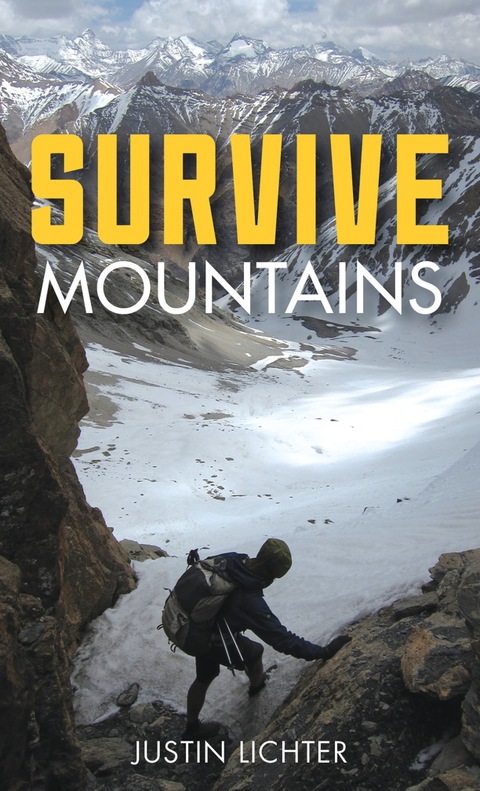 Cover image for book Survive