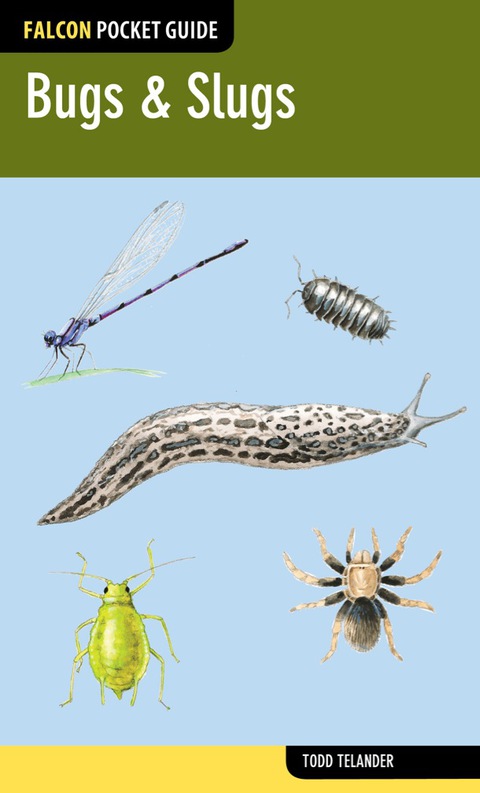 Cover image for book Bugs & Slugs