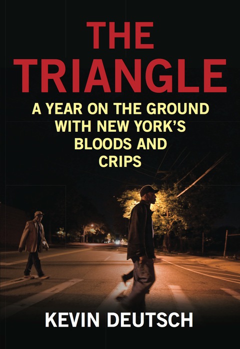 Cover image for book The Triangle