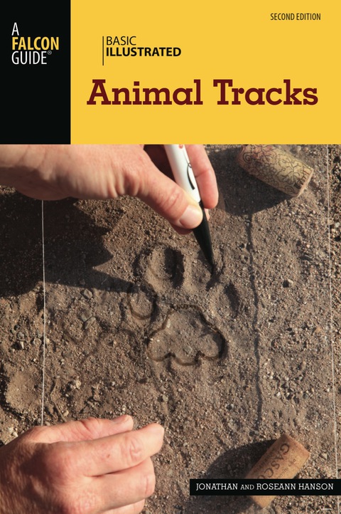 Basic Illustrated Animal Tracks 
