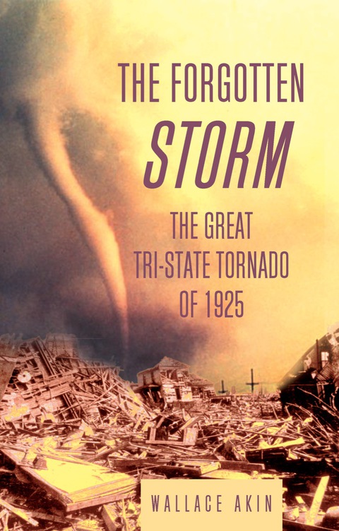 Cover image for book The Forgotten Storm