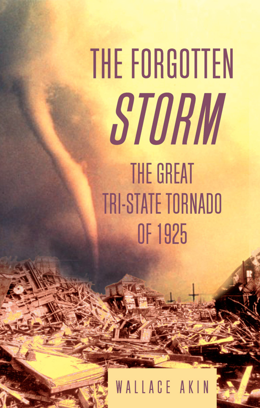 Reflowable The Forgotten Storm; $11.09