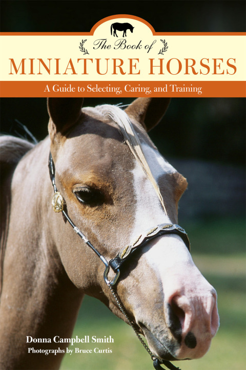 Cover image for book Book of Miniature Horses