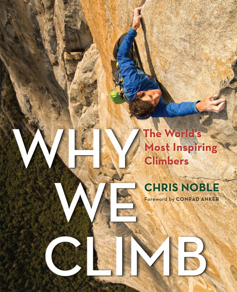 Cover image for book Why We Climb