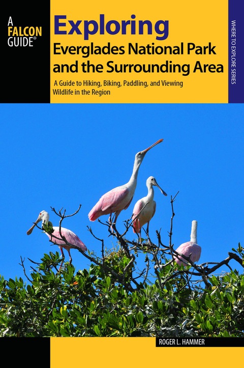 Cover image for book Exploring Everglades National Park and the Surrounding Area