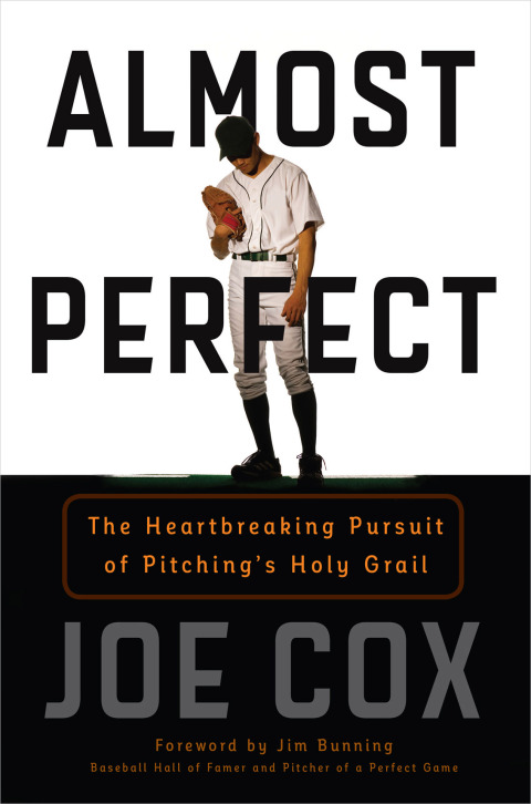 Cover image for book Almost Perfect