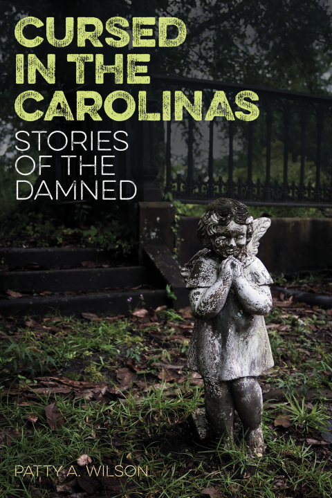 Cover image for book Cursed in the Carolinas