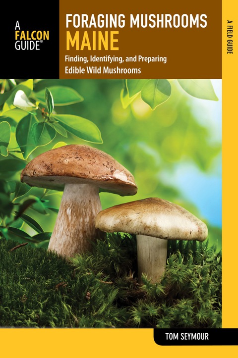 Cover image for book Foraging Mushrooms Maine