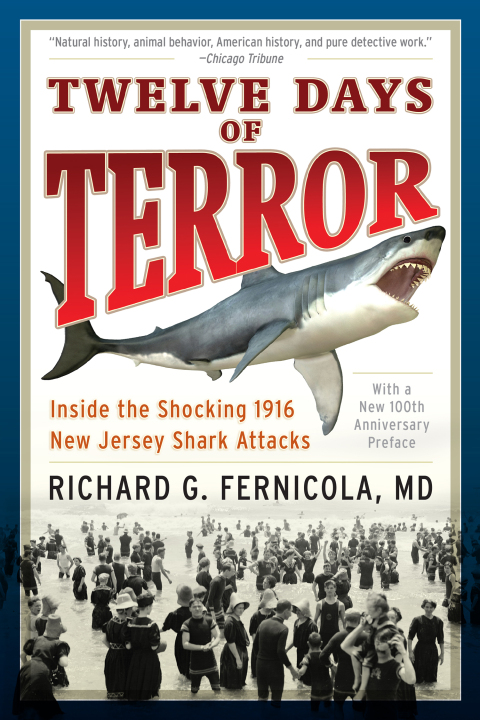 Cover image for book Twelve Days of Terror