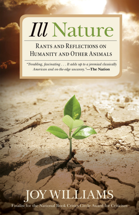 Cover image for book Ill Nature