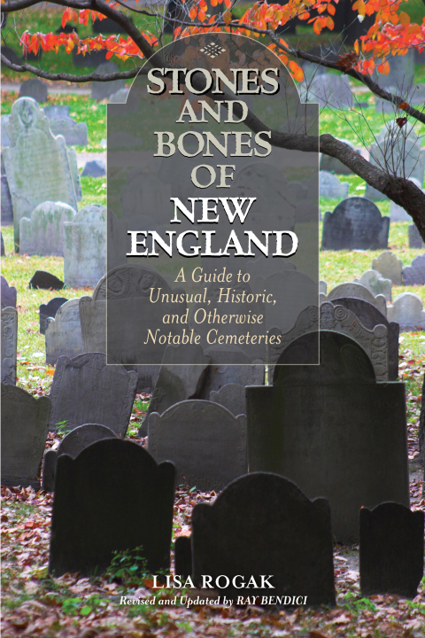 Cover image for book Stones and Bones of New England
