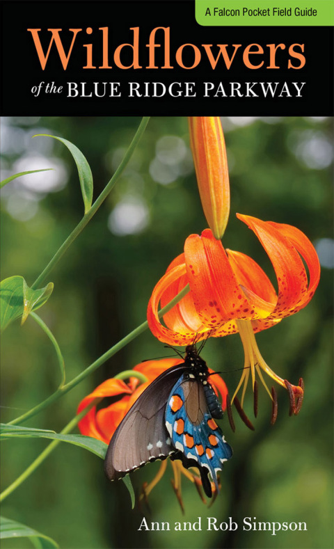 Cover image for book Wildflowers of the Blue Ridge Parkway