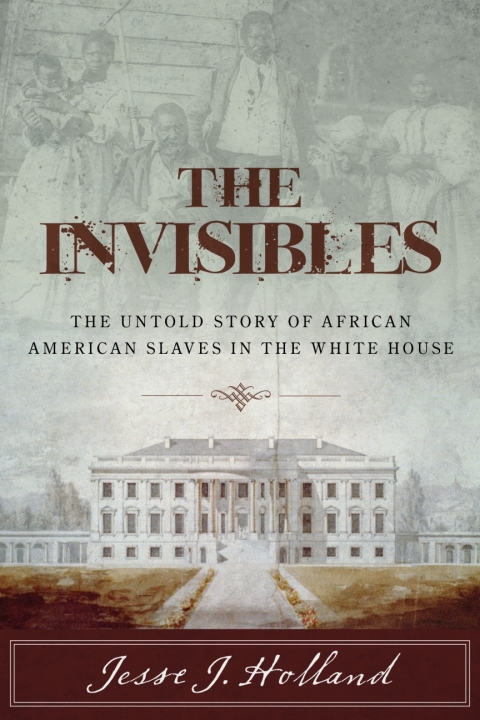 Cover image for book The Invisibles