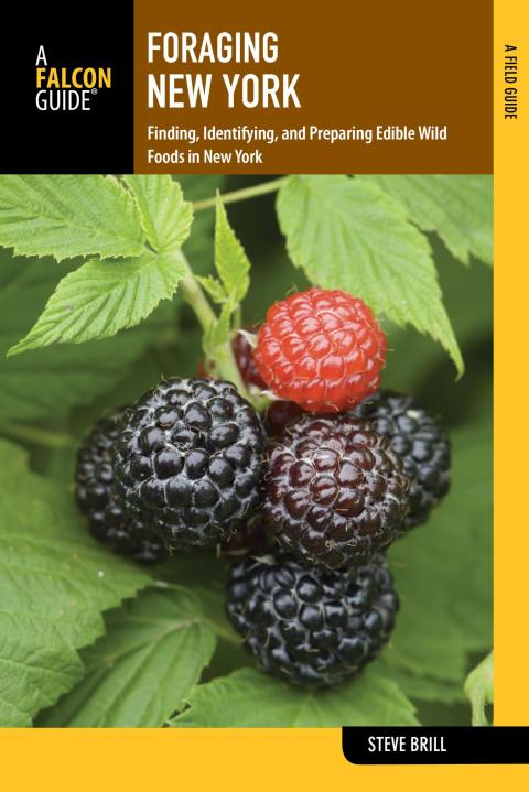 Cover image for book Foraging New York