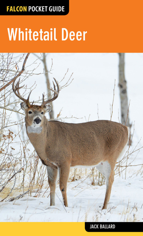 Cover image for book Whitetail Deer